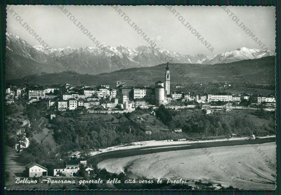 Belluno Città Foto FG cartolina KV8344 – fronte