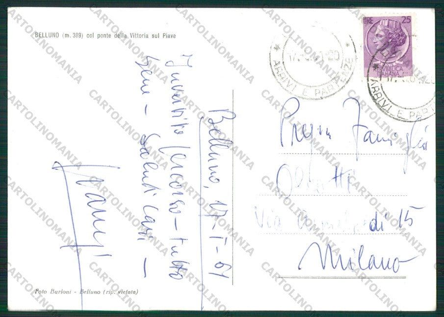 Belluno Città Foto FG cartolina KV8346 – retro