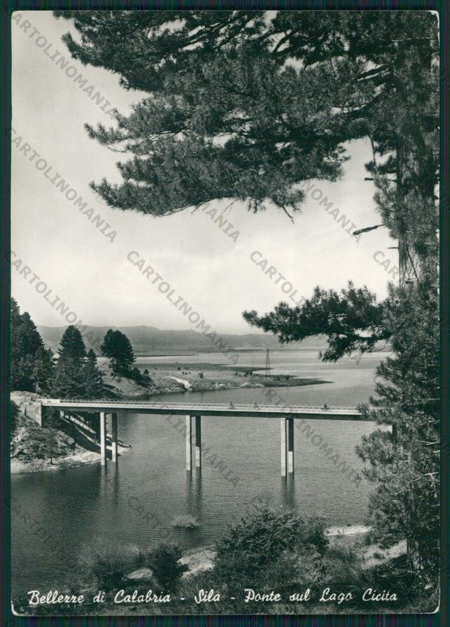 Cosenza Lago Cicita Foto FG cartolina KV8359 – fronte