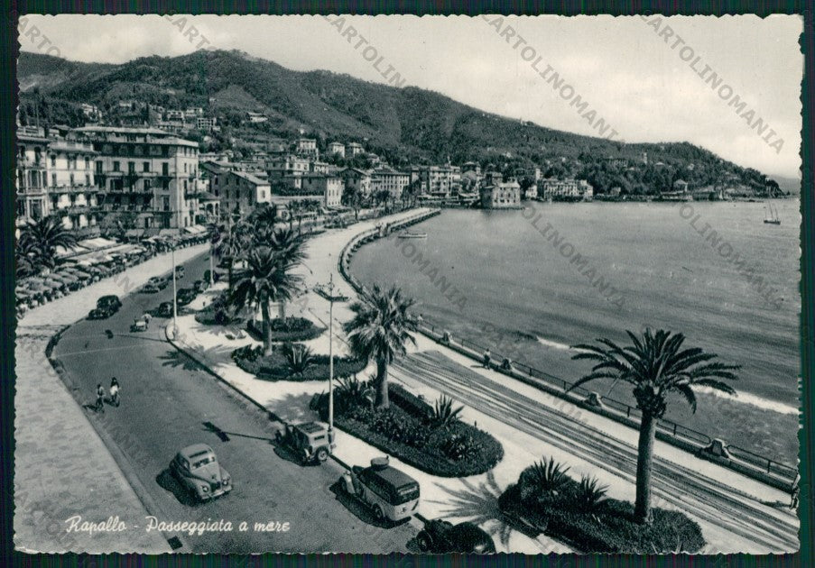 Genova Rapallo Auto Foto FG cartolina KV8403 – fronte