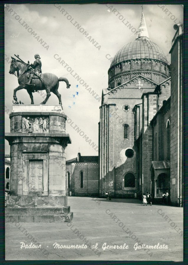 Padova Città Foto FG cartolina KV8406 – fronte