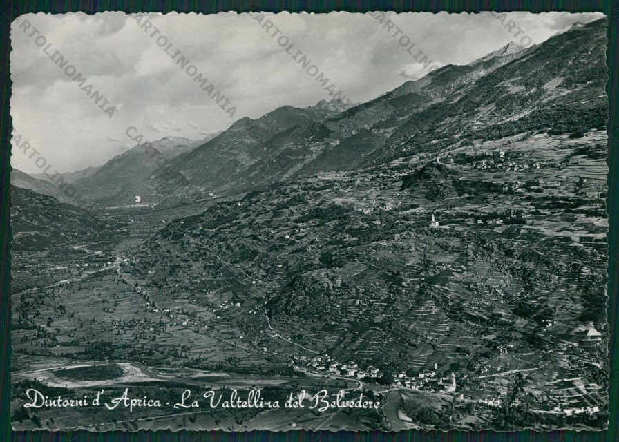 Sondrio Teglio Tresenda Foto FG cartolina KV8429 – fronte