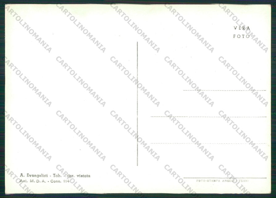 Roma Castel Gandolfo Foto FG cartolina KV8436 – retro