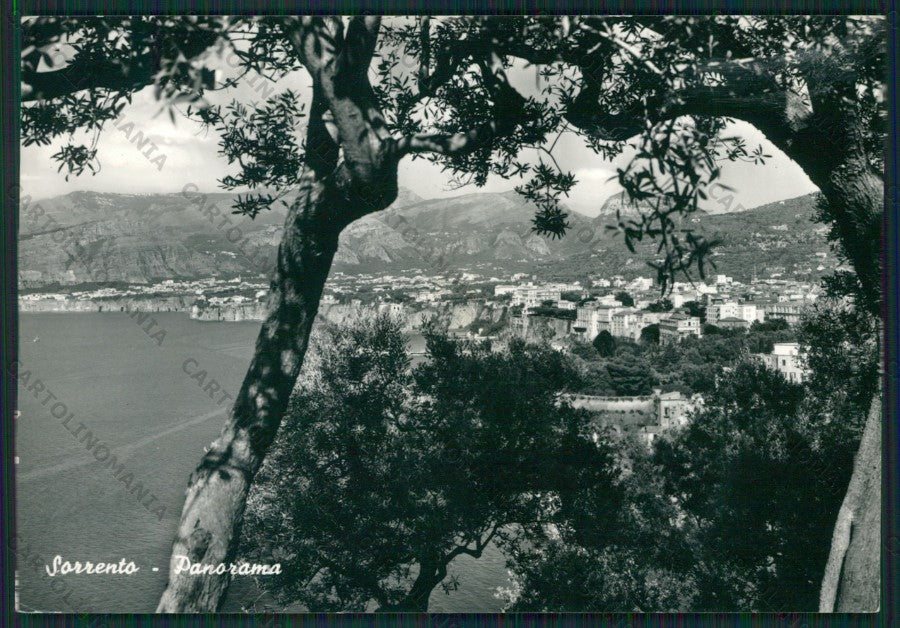 Napoli Sorrento Foto FG cartolina KV8454 – fronte