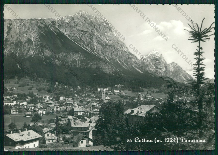 Belluno Cortina Foto FG cartolina KV8485 – fronte