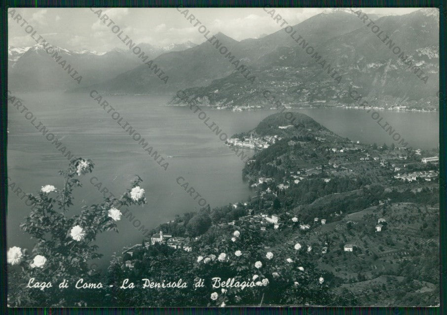 Como Bellagio Lago di Como Foto FG cartolina KV8493 – fronte