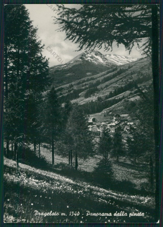 Torino Pragelato Foto FG cartolina KV8531 – fronte