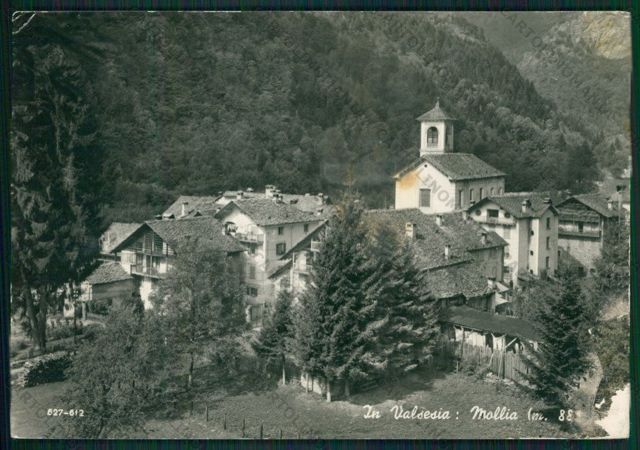 Vercelli Mollia Valsesia MACCHIA ABRASA Foto FG cartolina KV8566 – fronte