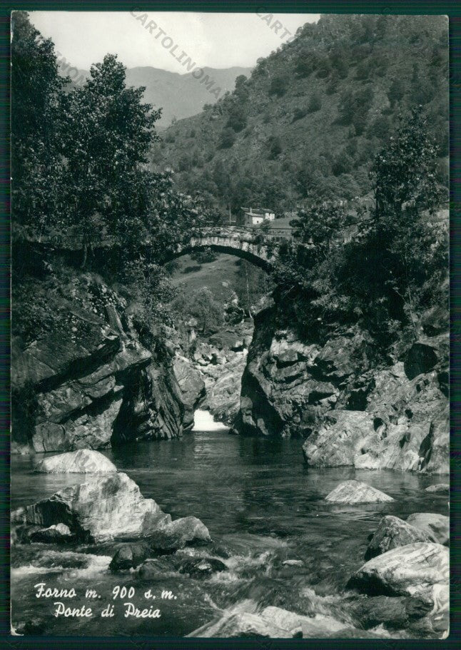 Novara Forno Ponte di Preia Foto FG cartolina KV8665 – fronte