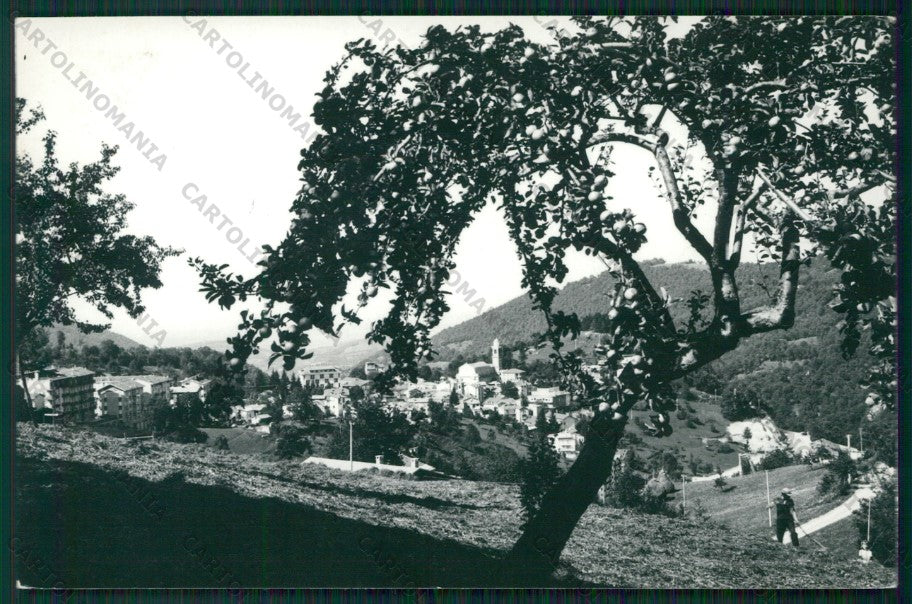 Cuneo Frabosa Soprana Foto FG cartolina KV8696 – fronte