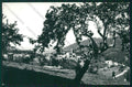 Cuneo Frabosa Soprana Foto FG cartolina KV8696 – fronte