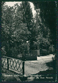 Alessandria Castelletto d'Orba Foto FG cartolina KV8794 – fronte
