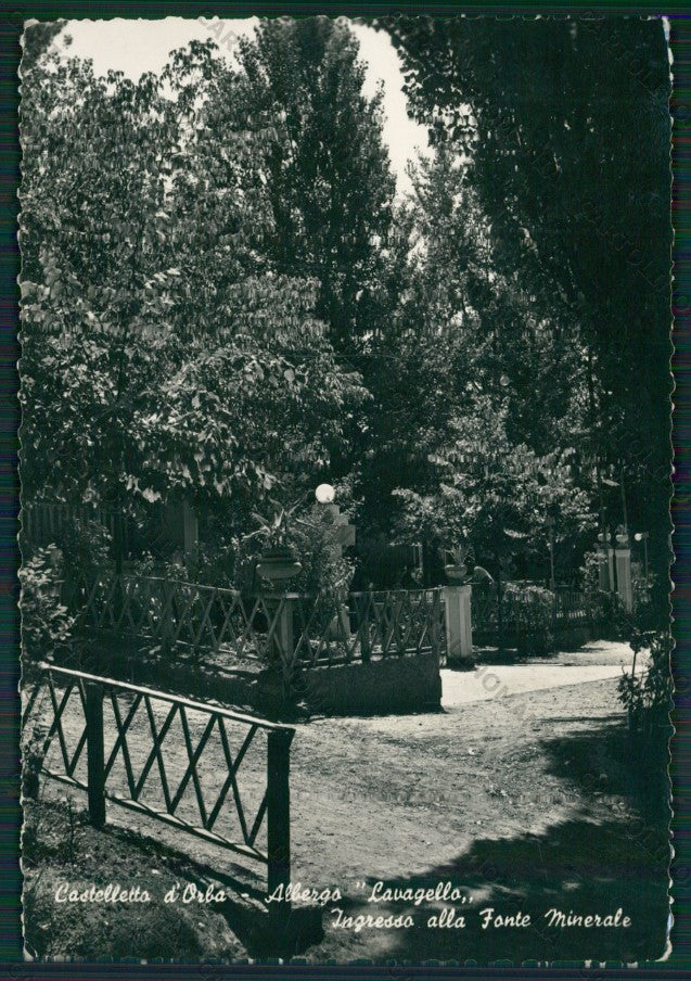 Alessandria Castelletto d'Orba Foto FG cartolina KV8794 – fronte