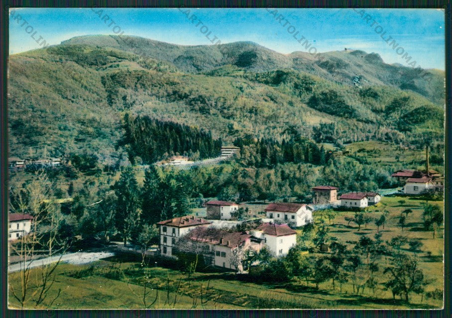 Cuneo Robilante Foto FG cartolina KV8804 – fronte