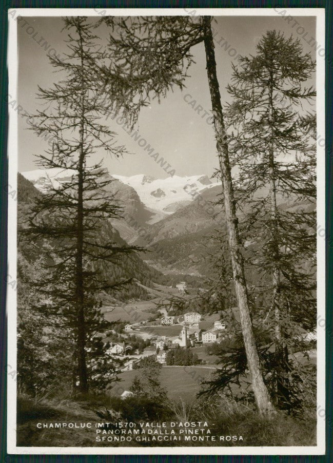 Aosta Ayas Champoluc Monte Rosa Foto FG cartolina KV8834 – fronte