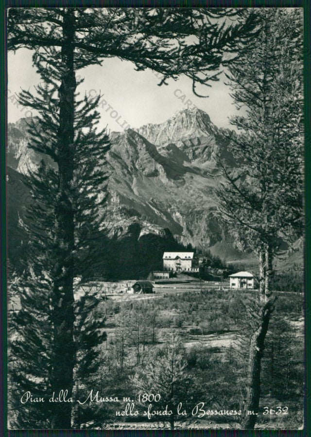 Torino Pian della Mussa Bessanese Foto FG cartolina KV8854 – fronte