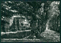 Cuneo Cherasco Castello Visconteo Foto FG cartolina KV8870 – fronte