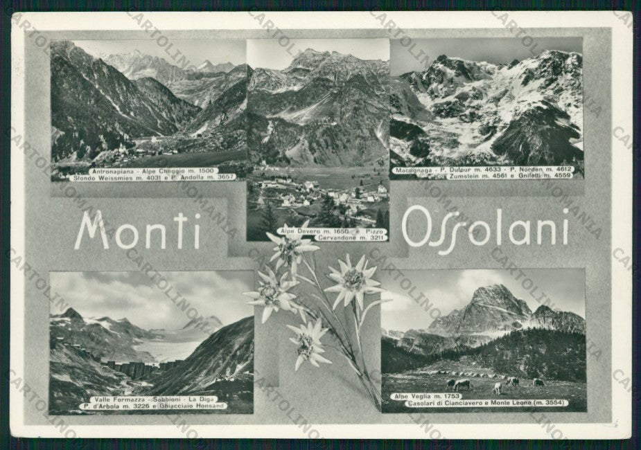 Verbania Domodossola Monti Ossolani Stella Alpina Foto FG cartolina KV8890 – fronte