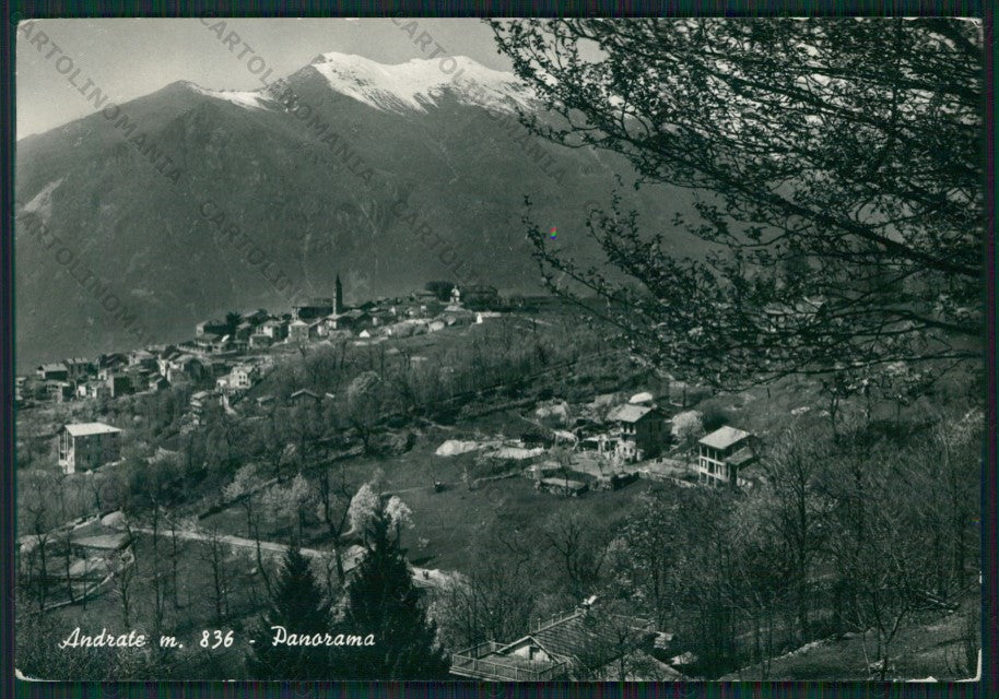 Torino Andrate Foto FG cartolina KV8937 – fronte