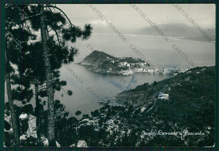 Genova Sestri Levante FORI Foto FG cartolina KV8956 – fronte