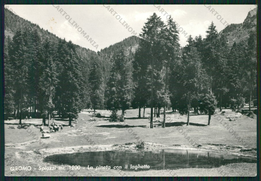 Bergamo Gromo Foto FG cartolina KV8958 – fronte