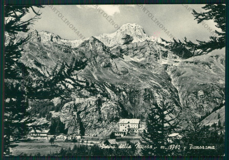 Torino Pian della Mussa Foto FG cartolina KV8966 – fronte