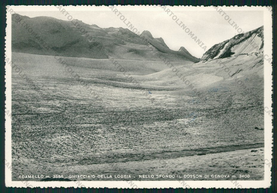 Trento Ghiacciaio della Lobbia Adamello Dosson Genova Foto FG cartolina KV8972 – fronte