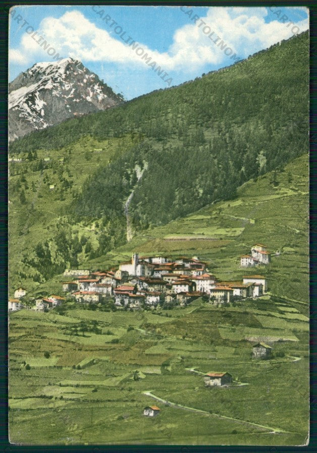 Brescia Temù Villa d'Allegno PIEGHINA Foto FG cartolina KV9024 – fronte