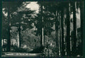 Cuneo Pamparato Foto FG cartolina KV9048 – fronte