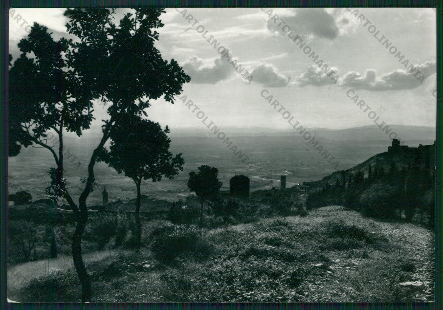 Perugia Assisi Foto FG cartolina KV9074 – fronte