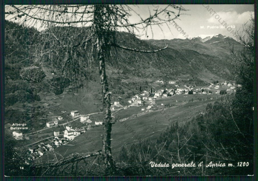 Sondrio Aprica Foto FG cartolina KV9096 – fronte