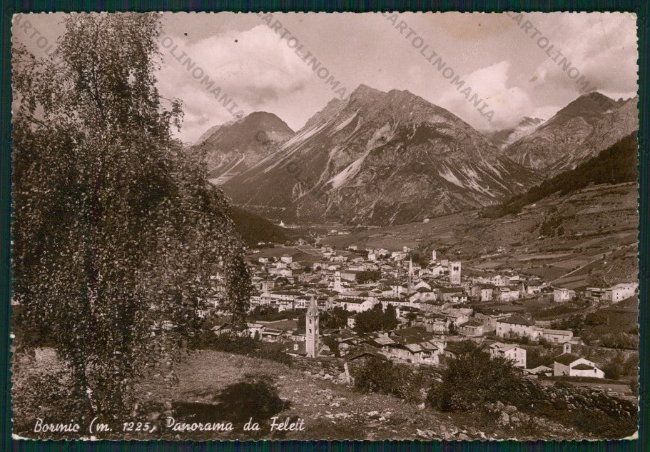 Sondrio Bormio Feleit Foto FG cartolina KV9099 – fronte