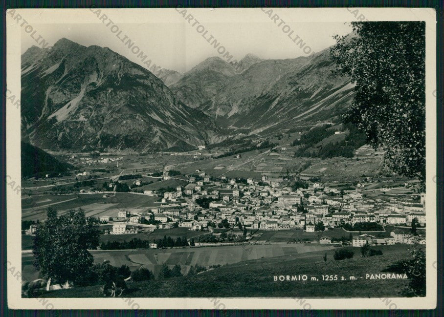 Sondrio Bormio STRAPPINO Foto FG cartolina KV9102 – fronte