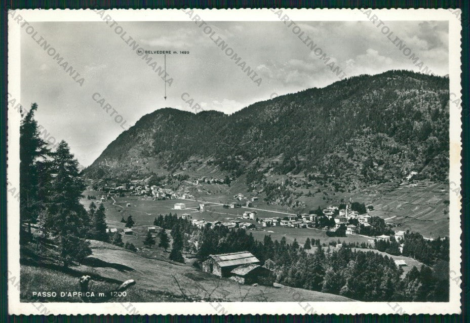 Sondrio Aprica Passo di Foto FG cartolina KV9109 – fronte