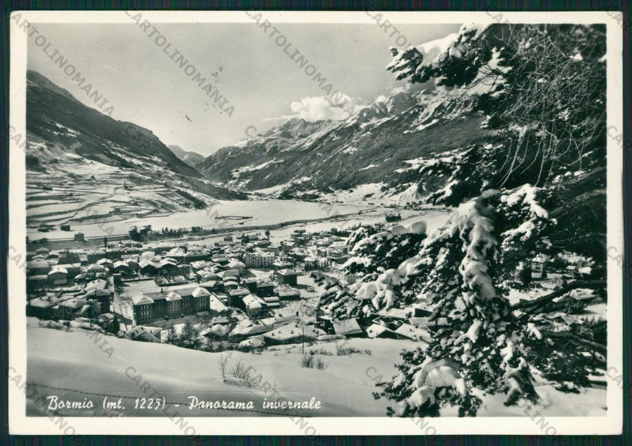 Sondrio Bormio Nevicata Foto FG cartolina KV9116 – fronte