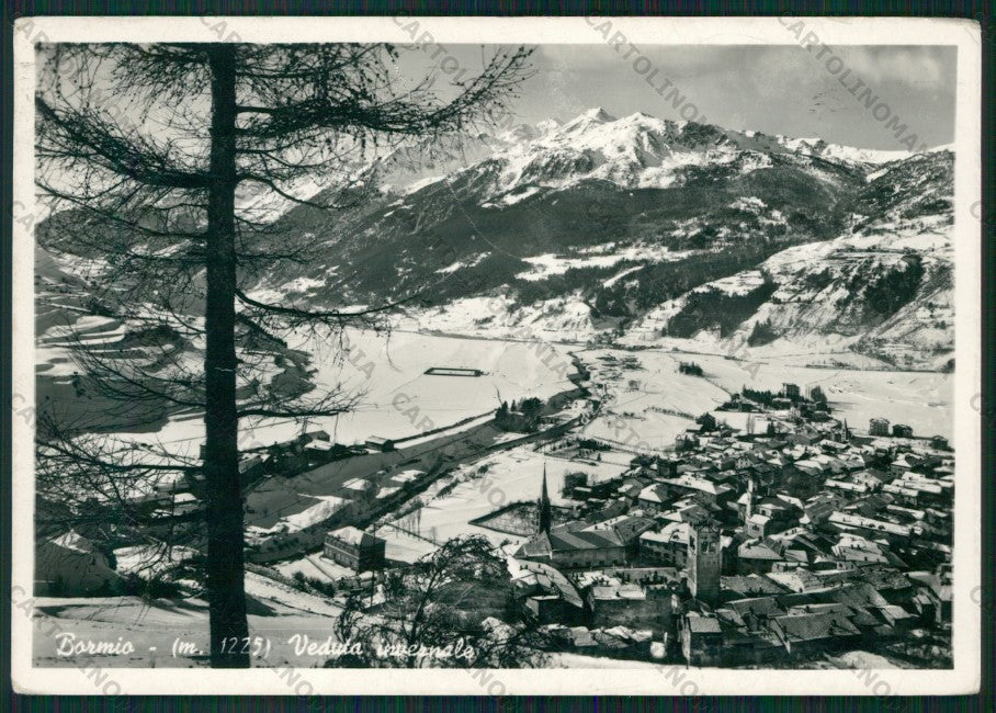 Sondrio Bormio Nevicata Foto FG cartolina KV9118 – fronte