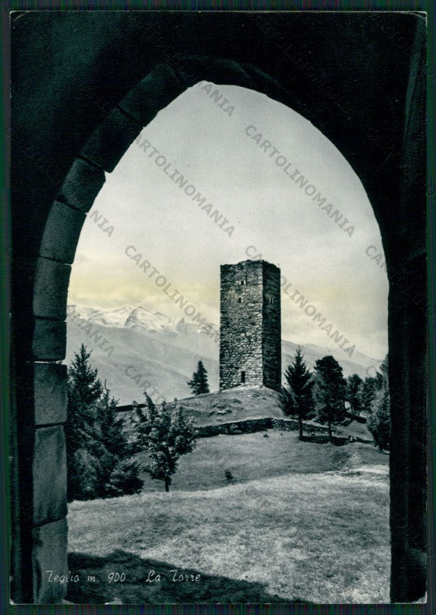 Sondrio Teglio MACCHIA Foto FG cartolina KV9122 – fronte