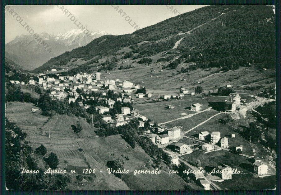 Sondrio Aprica Passo di Foto FG cartolina KV9123 – fronte