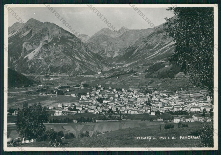 Sondrio Bormio Foto FG cartolina KV9129 – fronte