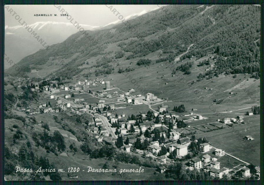 Sondrio Aprica Passo di Adamello Foto FG cartolina KV9130 – fronte