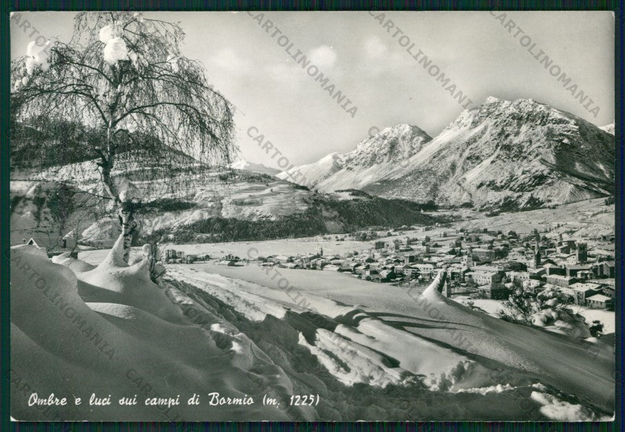 Sondrio Bormio Nevicata Foto FG cartolina KV9136 – fronte