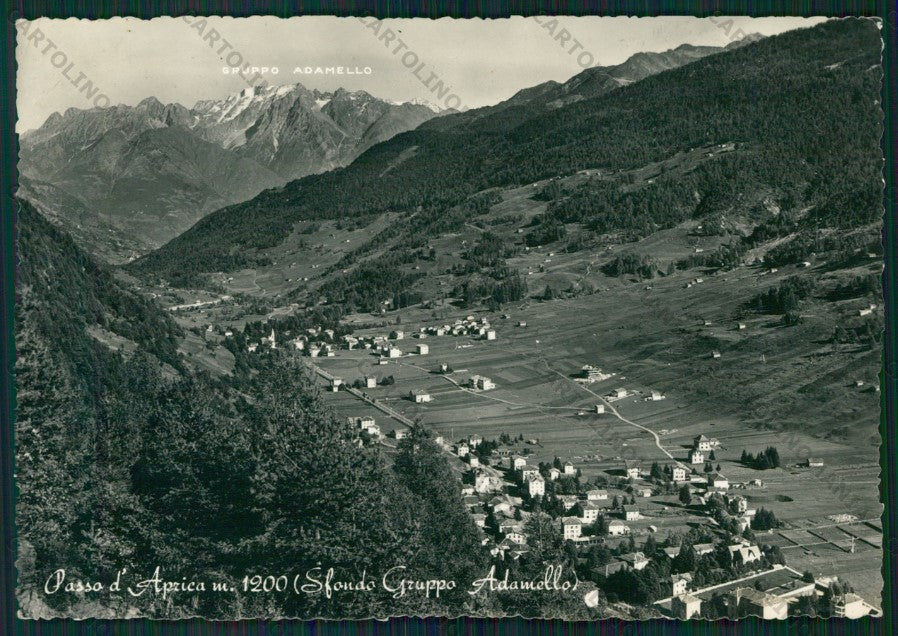 Sondrio Aprica Passo di Gruppo Adamello Foto FG cartolina KV9144 – fronte