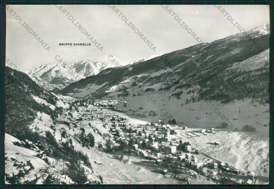 Sondrio Aprica Nevicata Adamello Foto FG cartolina KV9148 – fronte