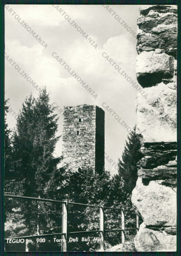 Sondrio Teglio Foto FG cartolina KV9149 – fronte