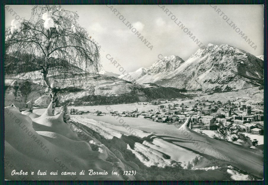 Sondrio Bormio Nevicata Foto FG cartolina KV9153 – fronte