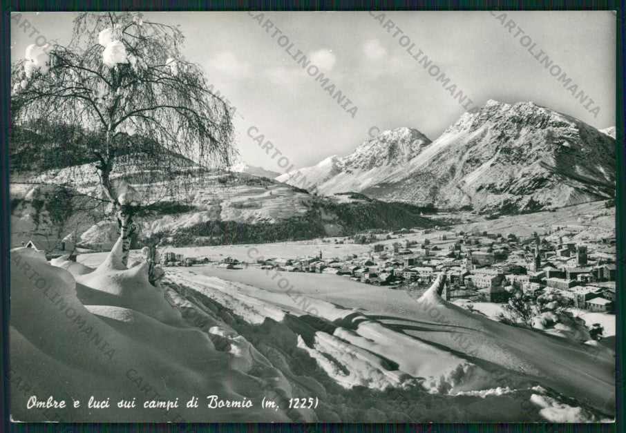 Sondrio Bormio Nevicata Foto FG cartolina KV9154 – fronte