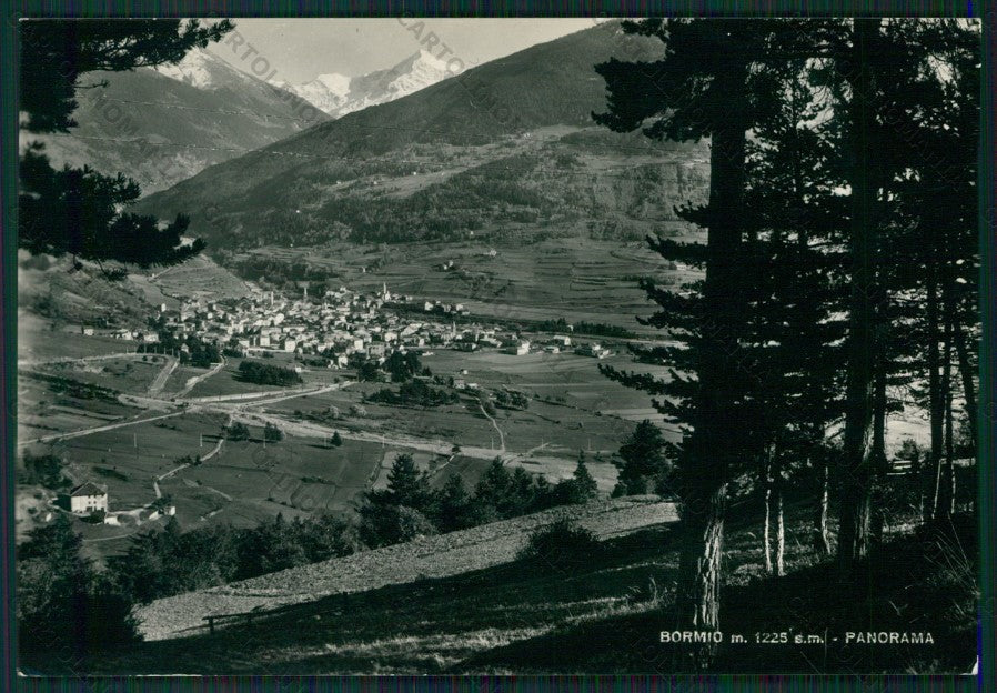 Sondrio Bormio Foto FG cartolina KV9158 – fronte