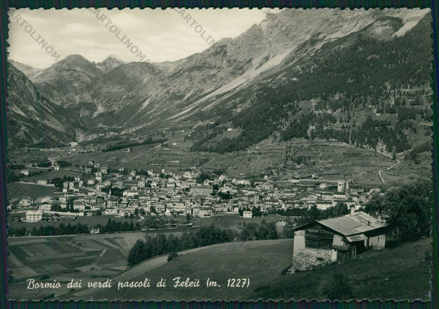 Sondrio Bormio Feleit Foto FG cartolina KV9159 – fronte