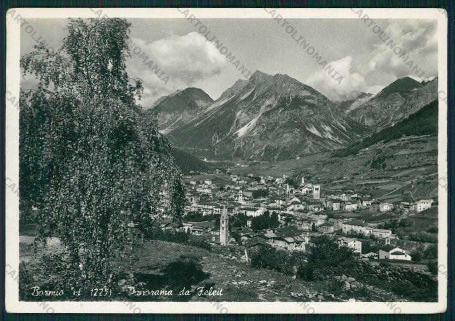 Sondrio Bormio Feleit Foto FG cartolina KV9166 – fronte