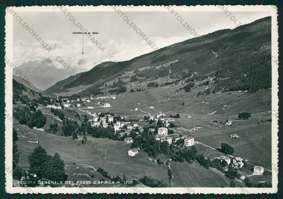 Sondrio Aprica Passo di Adamello ABRASA Foto FG cartolina KV9177 – fronte